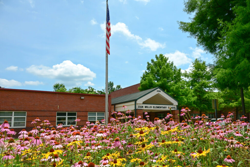 Dan Mills Garden 1