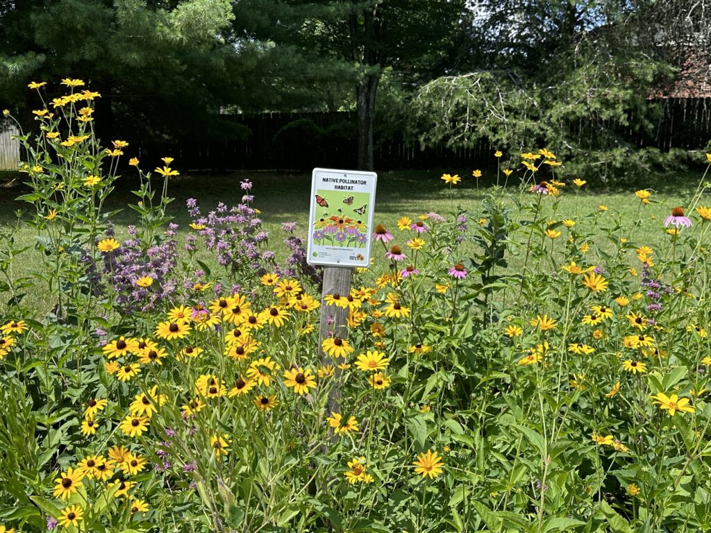 East End Prep pollinator garden (1)