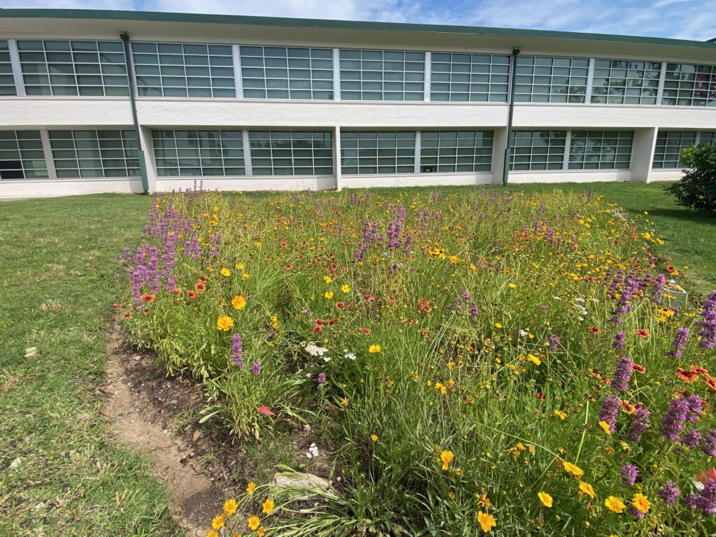 Hillsboro High