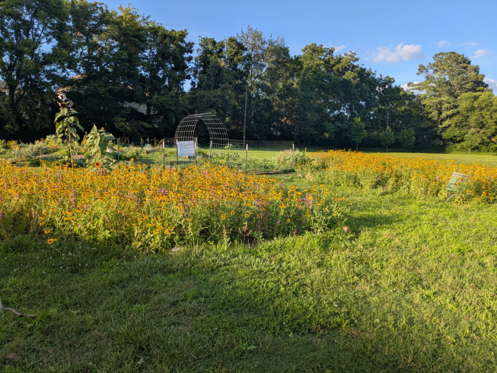PXL_20260623_235046413 (1)
